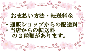 支払い方法・発送料金の案内イラスト