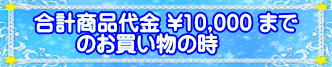 商品代金１万円までの実例