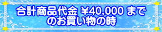 商品代金４万円までの実例